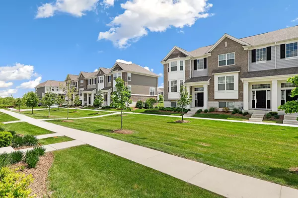 Homer Glen, IL 60491,13916 S Addison TRL
