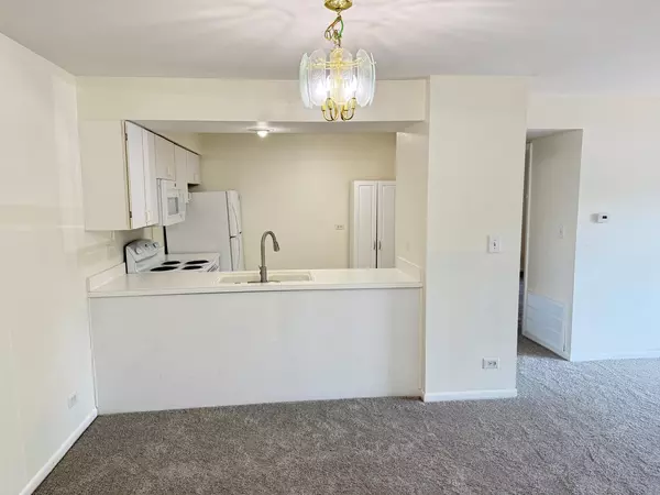 Rolling Meadows, IL 60008,4506 Kings Walk DR #1B