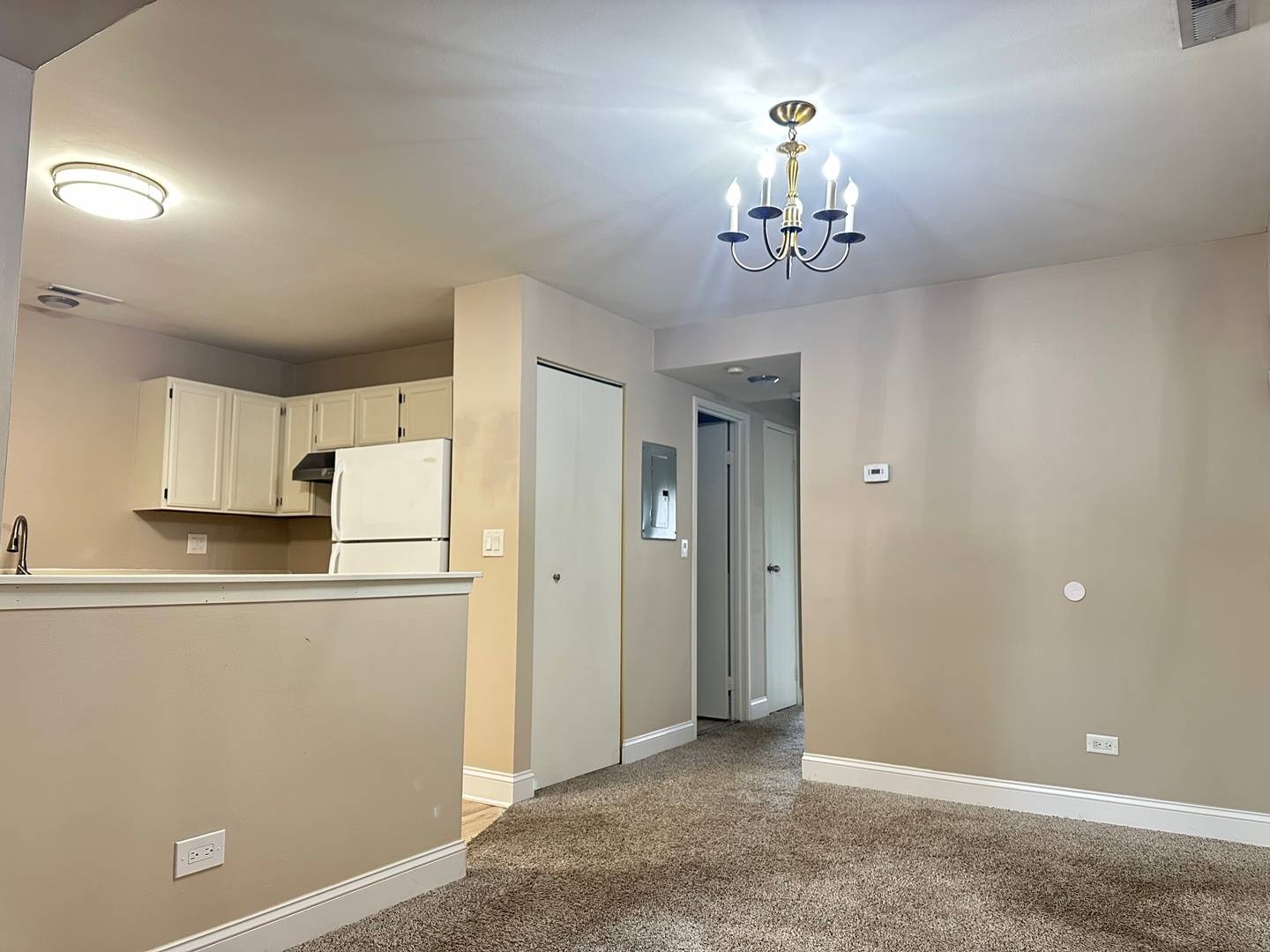 Lisle, IL 60532,2226 Abbeywood DR #B