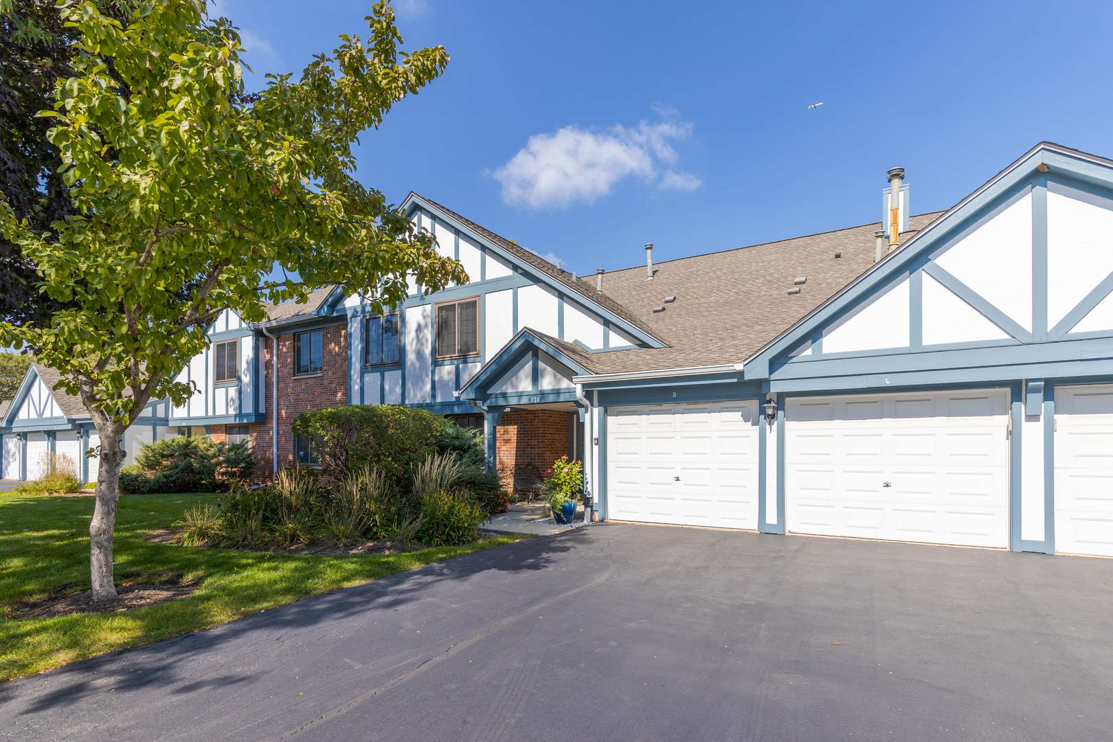 870 Yosemite TRL #C, Roselle, IL 60172