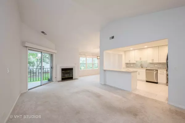 Mount Prospect, IL 60056,1007 Butternut LN #C