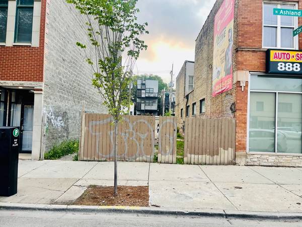 1028 N Ashland AVE, Chicago, IL 60622