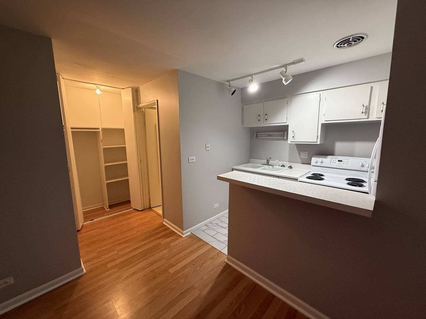 Chicago, IL 60613,744 W GORDON TER #209