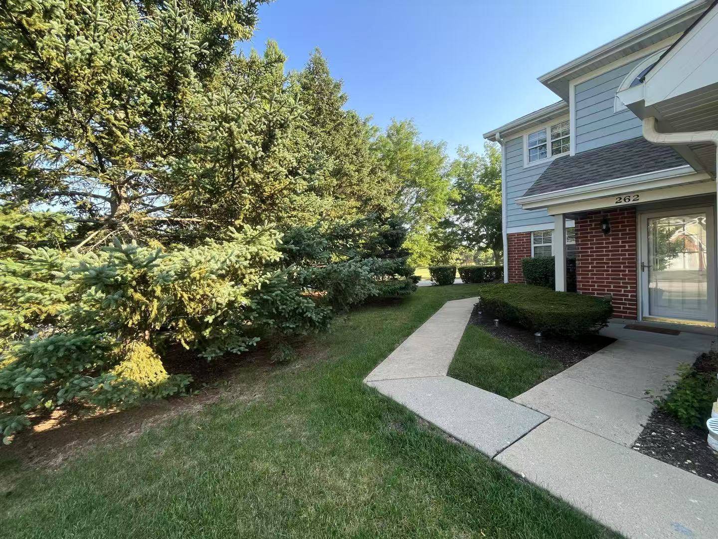 Schaumburg, IL 60194,262 Odlum CT #19192