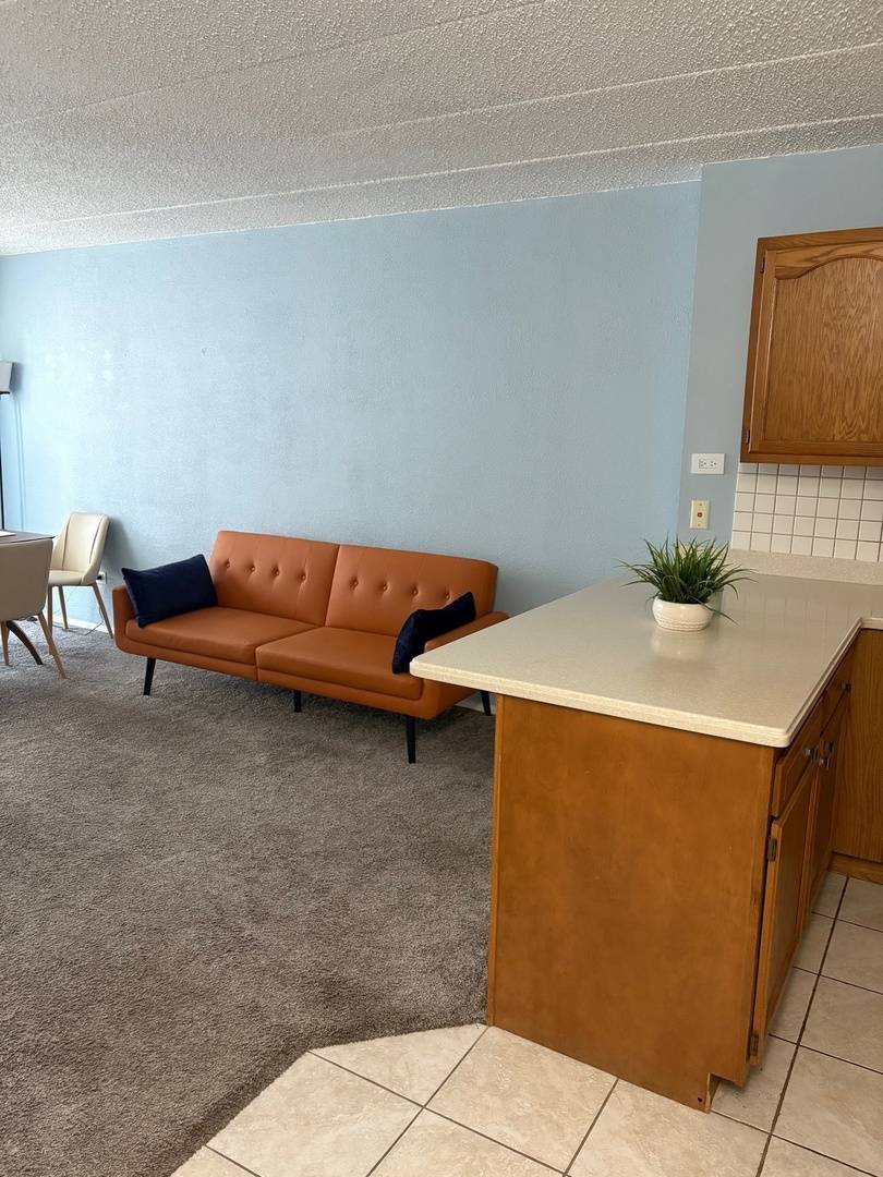 Niles, IL 60714,9701 N Dee RD #6H