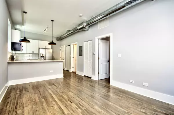 Chicago, IL 60608,2007 S Allport ST #2R