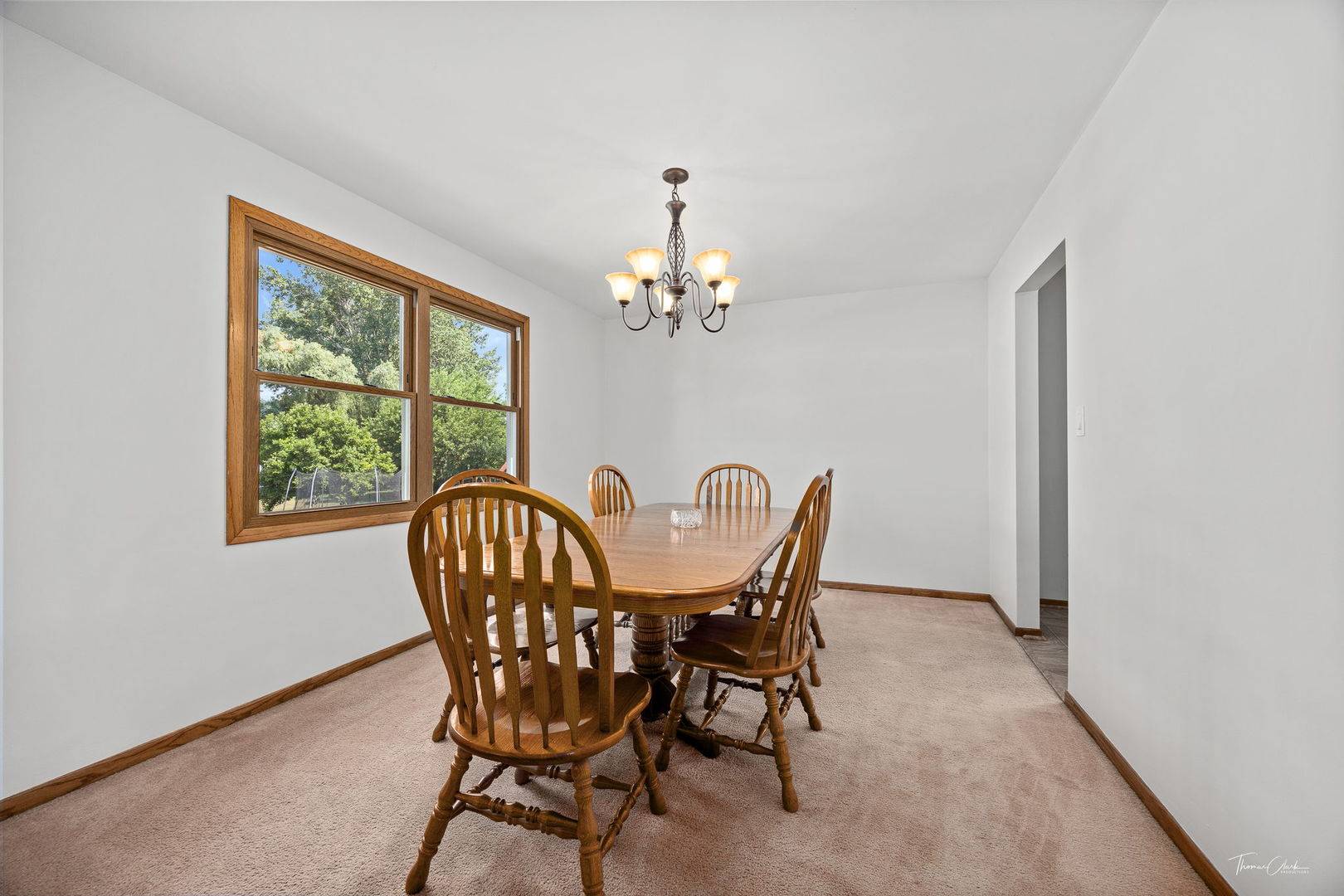 Homer Glen, IL 60491,13301 Maverick TRL