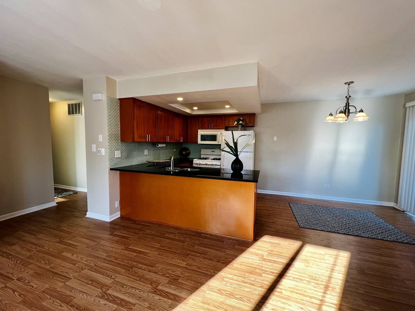 Palatine, IL 60074,2077 N Ginger CIR #17D