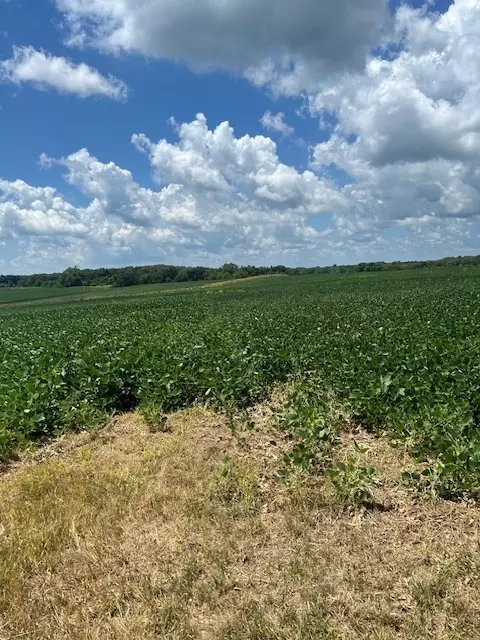 2000 County RD, Varna, IL 61375
