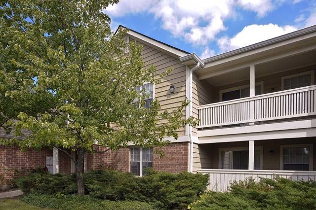 Schaumburg, IL 60173,22 Burberry CIR #0315
