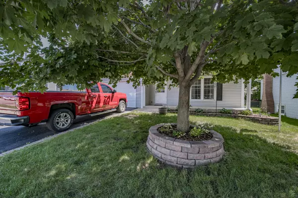 Carol Stream, IL 60188,989 Tioga CT