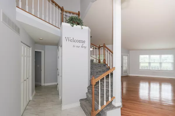 Algonquin, IL 60102,1003 Interloch CT
