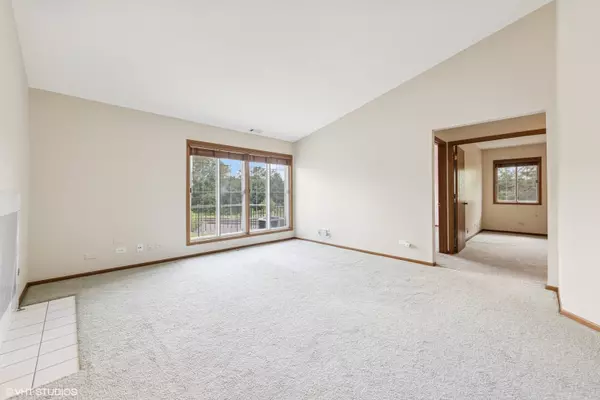 Naperville, IL 60563,1258 Chalet RD #304