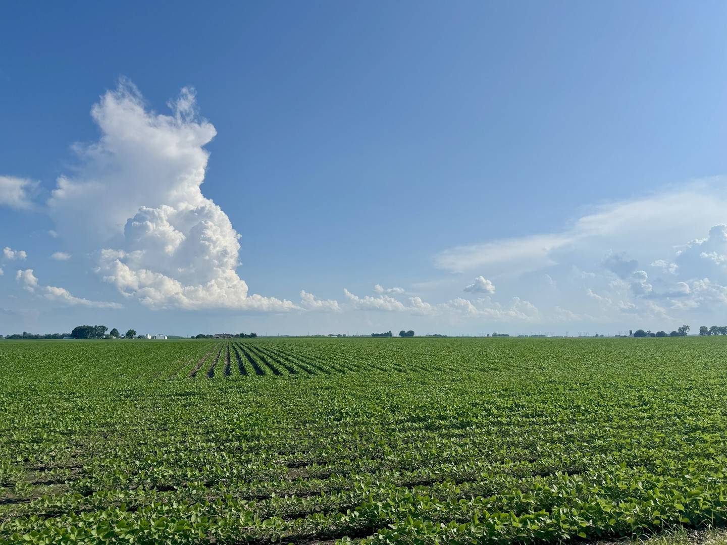 Newark, IL 60541,0000 W Helmar and Lisbon RD