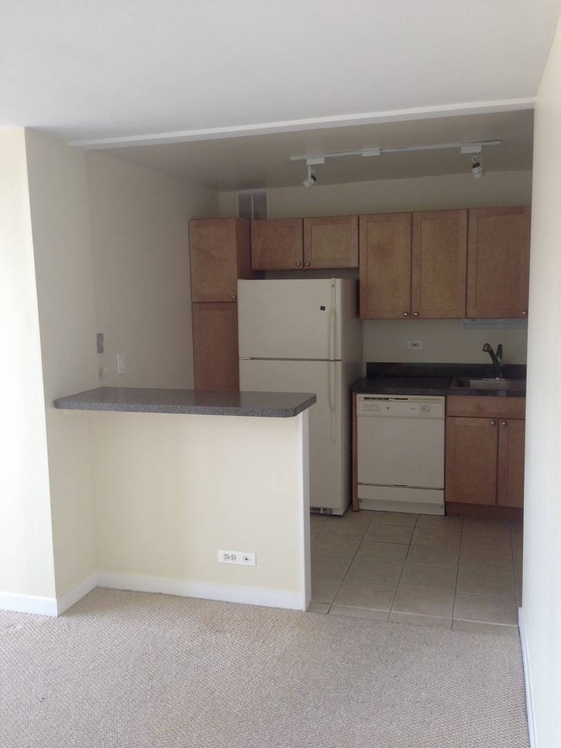 Chicago, IL 60613,655 W Irving Park RD #1306