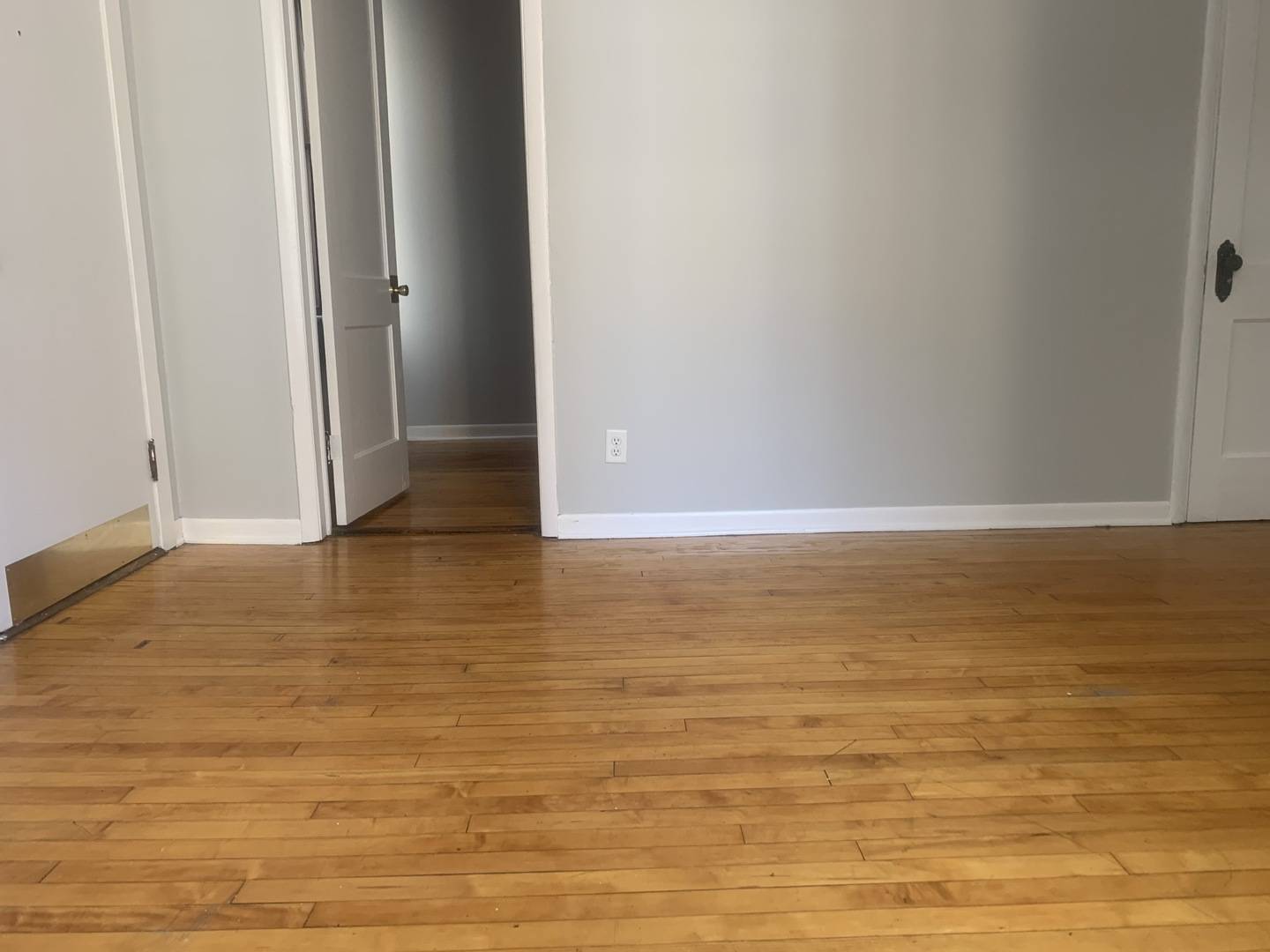 Chicago, IL 60622,1424 N Maplewood AVE #2R