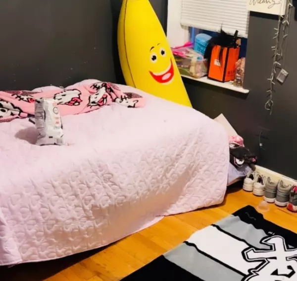 Chicago, IL 60616,459 W 26th ST