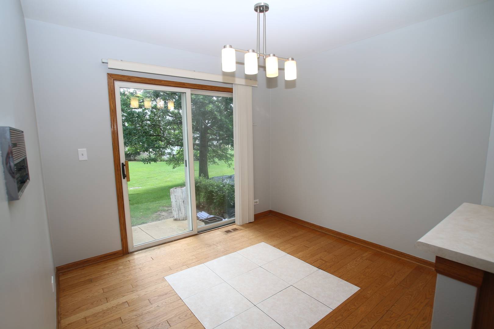 Roselle, IL 60172,153 Sussex CT #153
