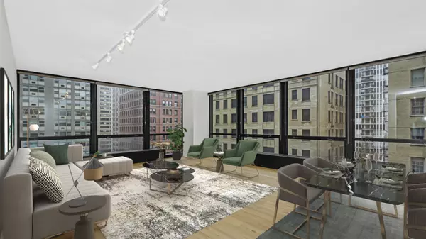 Chicago, IL 60611,910 N Lake Shore DR #816