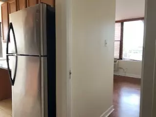 Chicago, IL 60616,345 E Eastgate PL #203