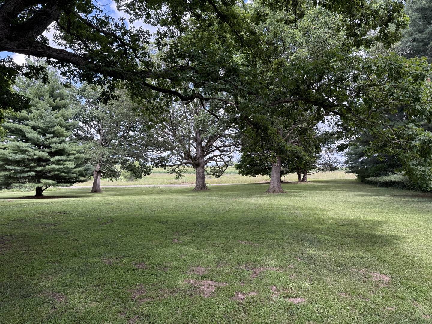9313 Liberty RD, Farmer City, IL 61842