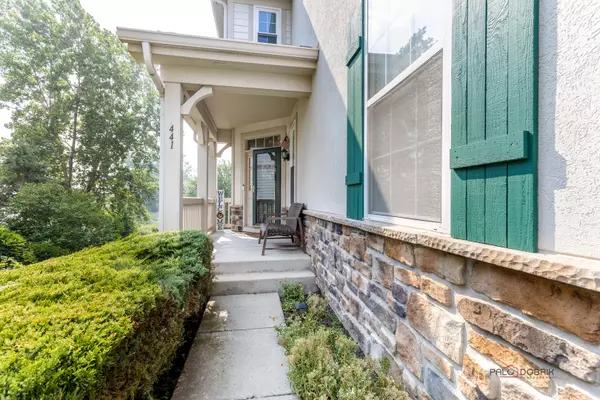 Vernon Hills, IL 60061,441 BAY TREE CIR