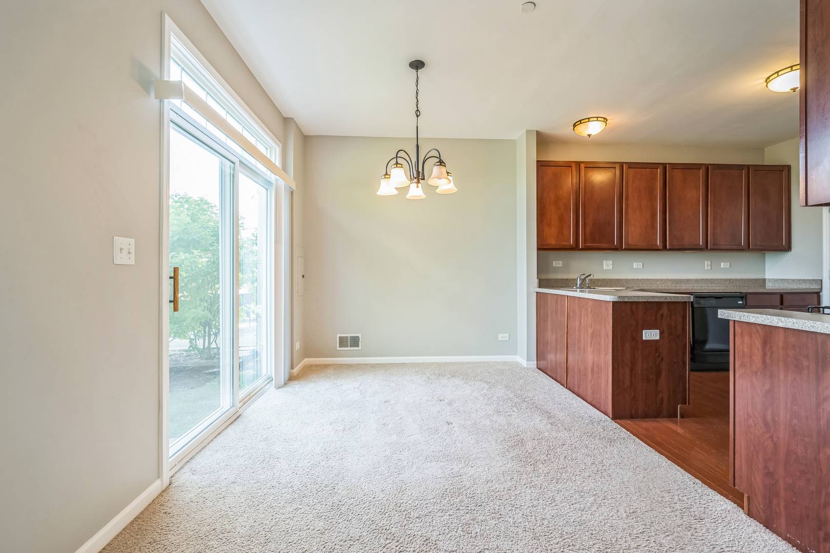 Yorkville, IL 60560,161 Willoughby CT #C