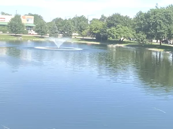 Schaumburg, IL 60194,3 Trails DR #W1