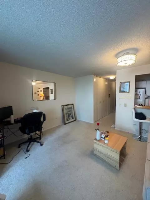 Chicago, IL 60611,480 N McClurg CT #514