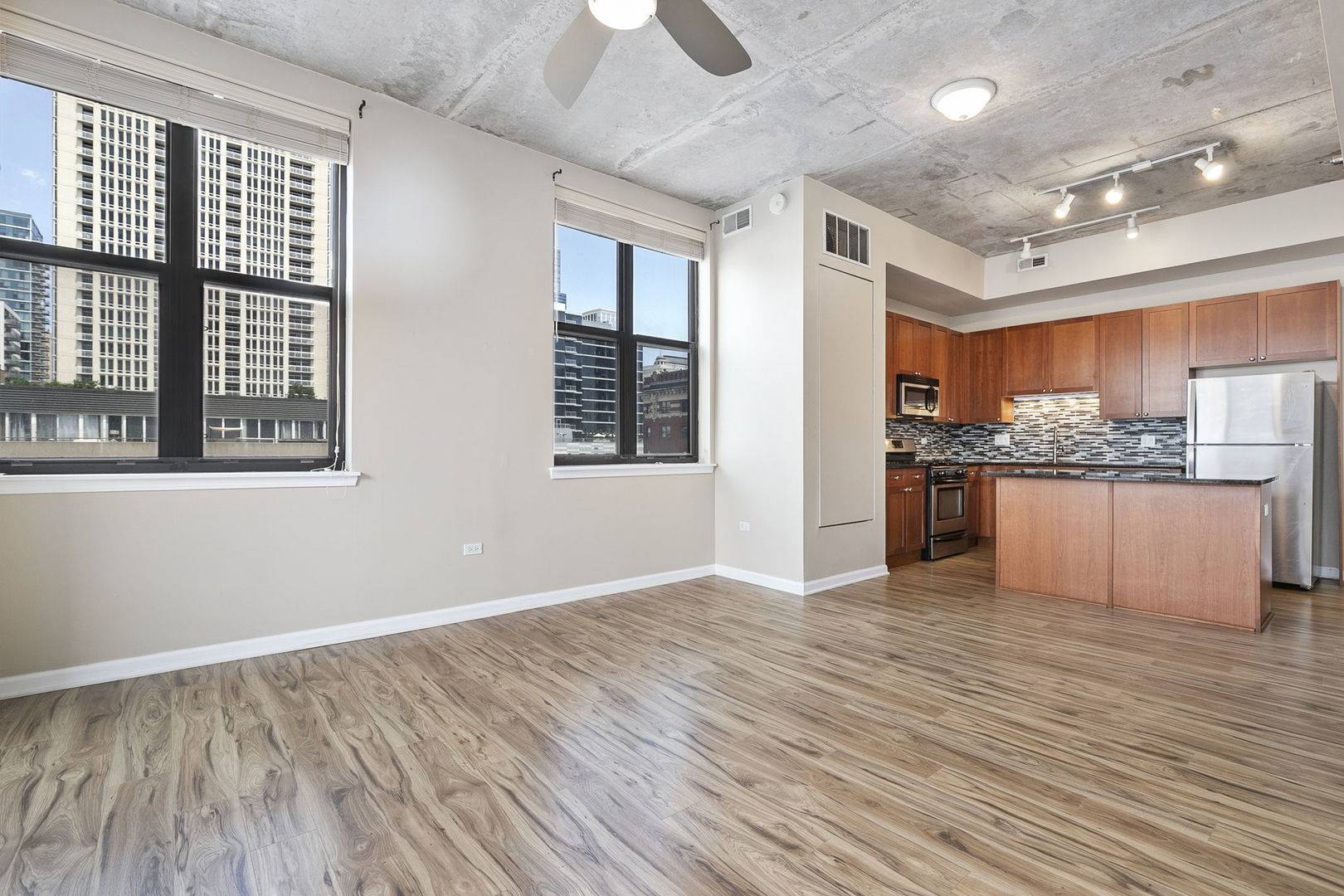 Chicago, IL 60605,1464 S Michigan AVE #509