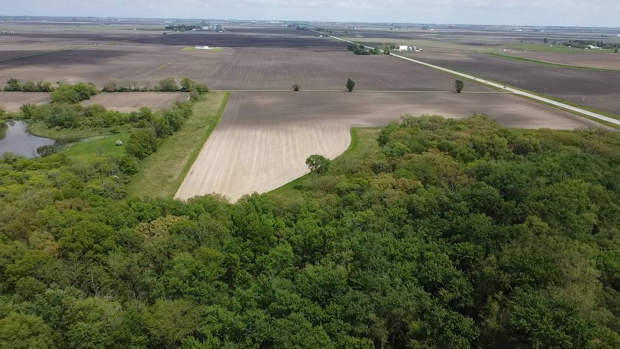 Lot C Highway 136 HWY, Fisher, IL 61843