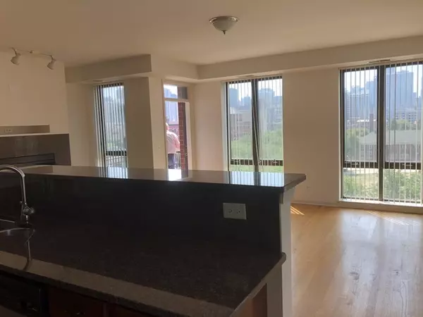 Chicago, IL 60610,343 W Old Town CT #509