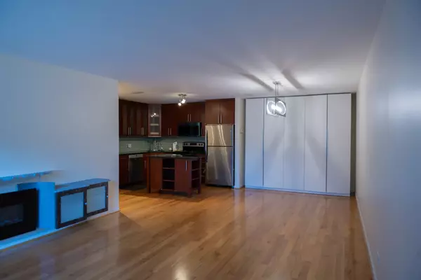 Glenview, IL 60025,1026 Castilian CT #114