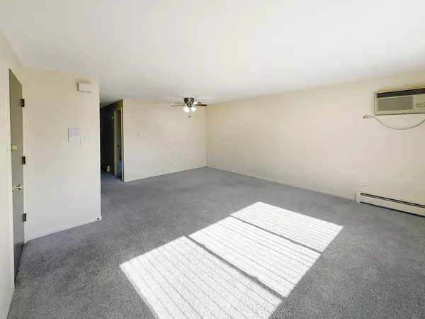 Tinley Park, IL 60477,17812 Oak Park AVE #3S