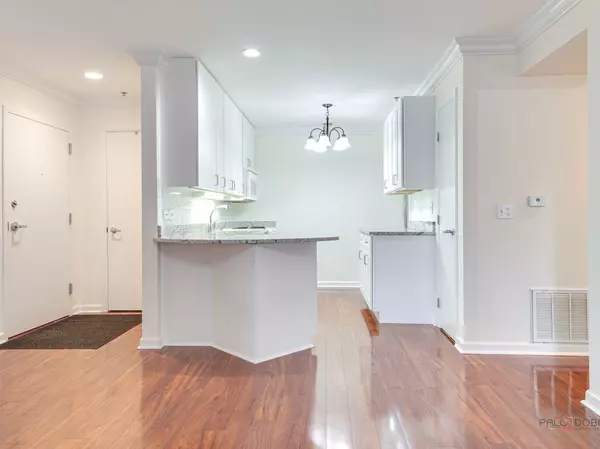 Deerfield, IL 60015,441 Kelburn RD #111
