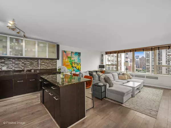 Chicago, IL 60610,1460 N Sandburg TER #1703