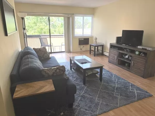 Schaumburg, IL 60173,1810 Hemlock PL #304