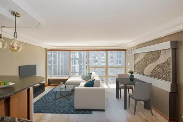 Chicago, IL 60611,230 E Ontario ST #1602