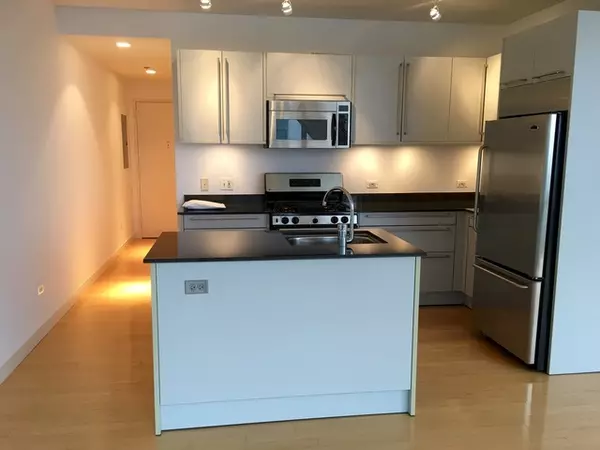 Chicago, IL 60654,510 W Erie ST #1007