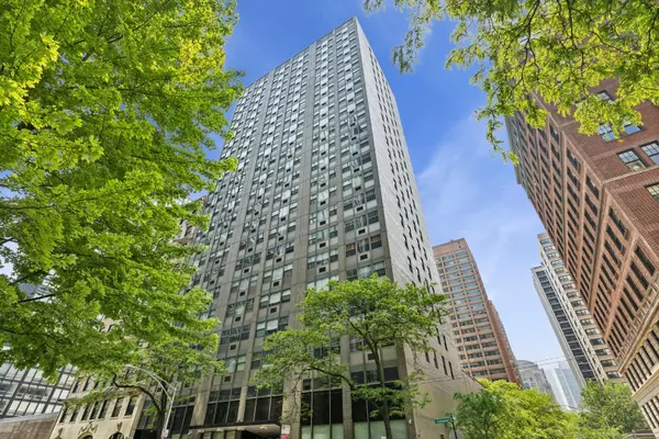 253 E DELAWARE PL #4D, Chicago, IL 60611