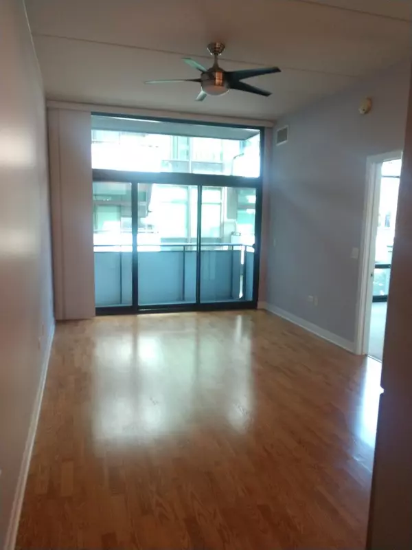 Chicago, IL 60661,660 W Wayman ST #206B