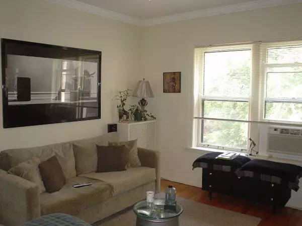 Chicago, IL 60614,2328 N Lincoln Park West AVE #3B