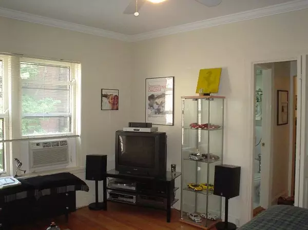 Chicago, IL 60614,2328 N Lincoln Park West AVE #3B
