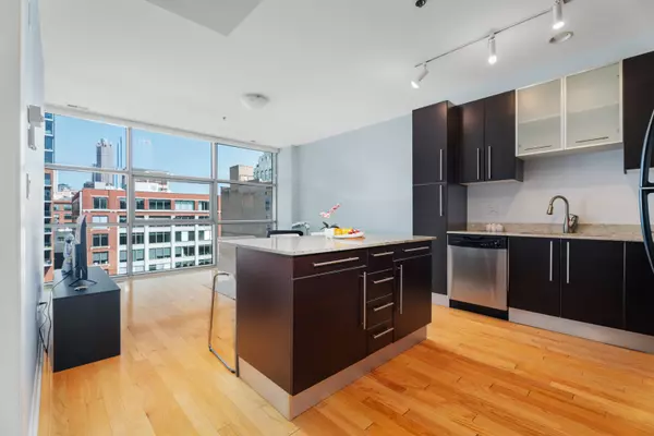 Chicago, IL 60607,225 S Sangamon ST #802