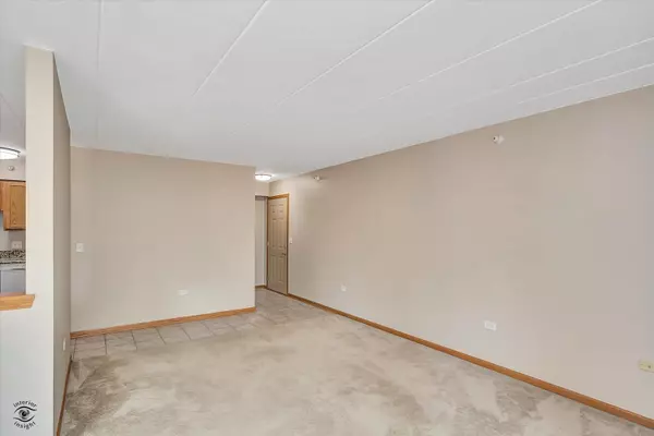 Lockport, IL 60441,1033 Ashley CT #2D