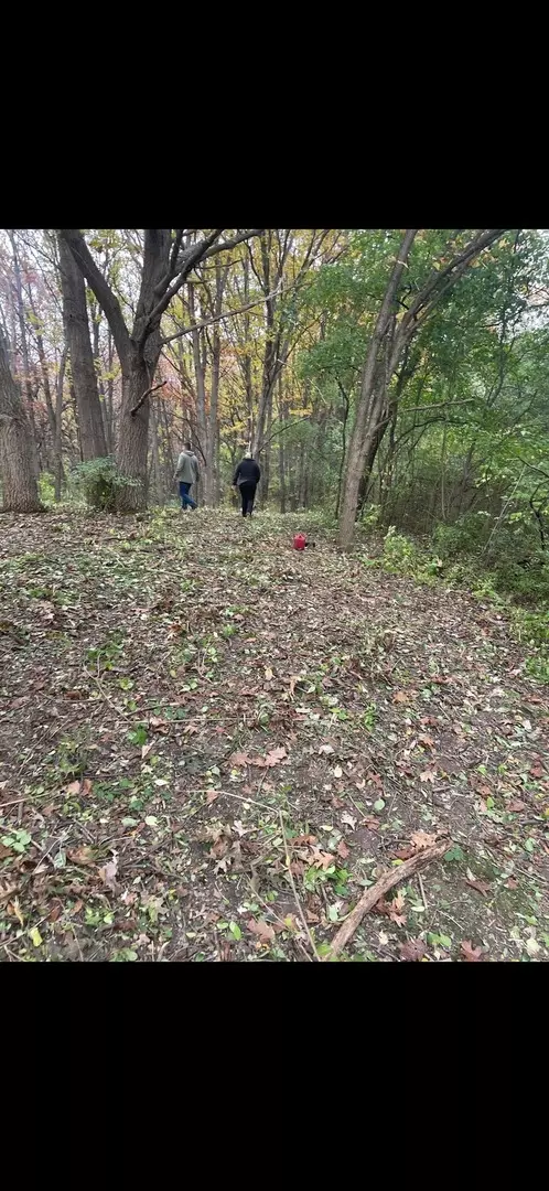 Barrington Hills, IL 60010,7 Autumn TRL