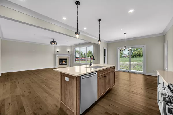 New Lenox, IL 60451,22559 Country LN