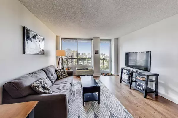 Chicago, IL 60657,450 W Briar PL #11H