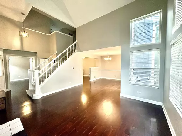 Naperville, IL 60564,3823 Petra CT