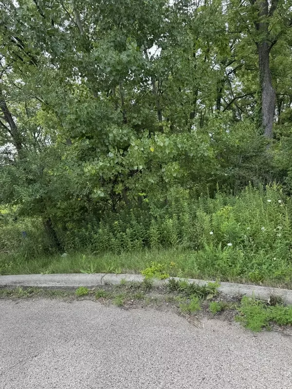 West Dundee, IL 60118,10 Chateau DR